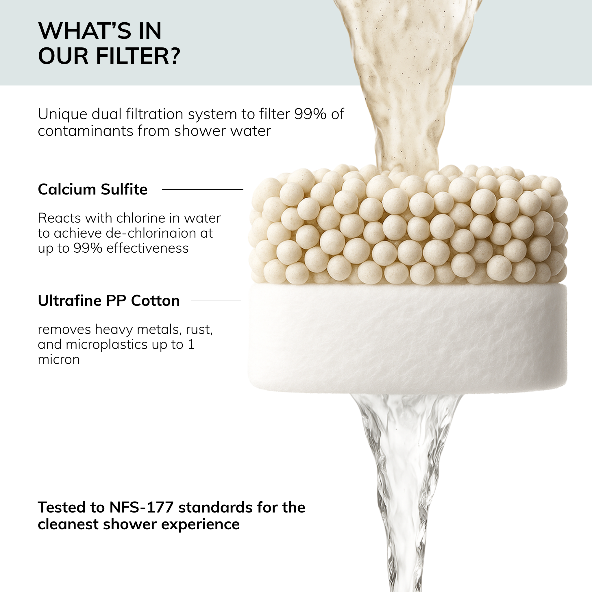 handheld shower head with chloramine water purifier