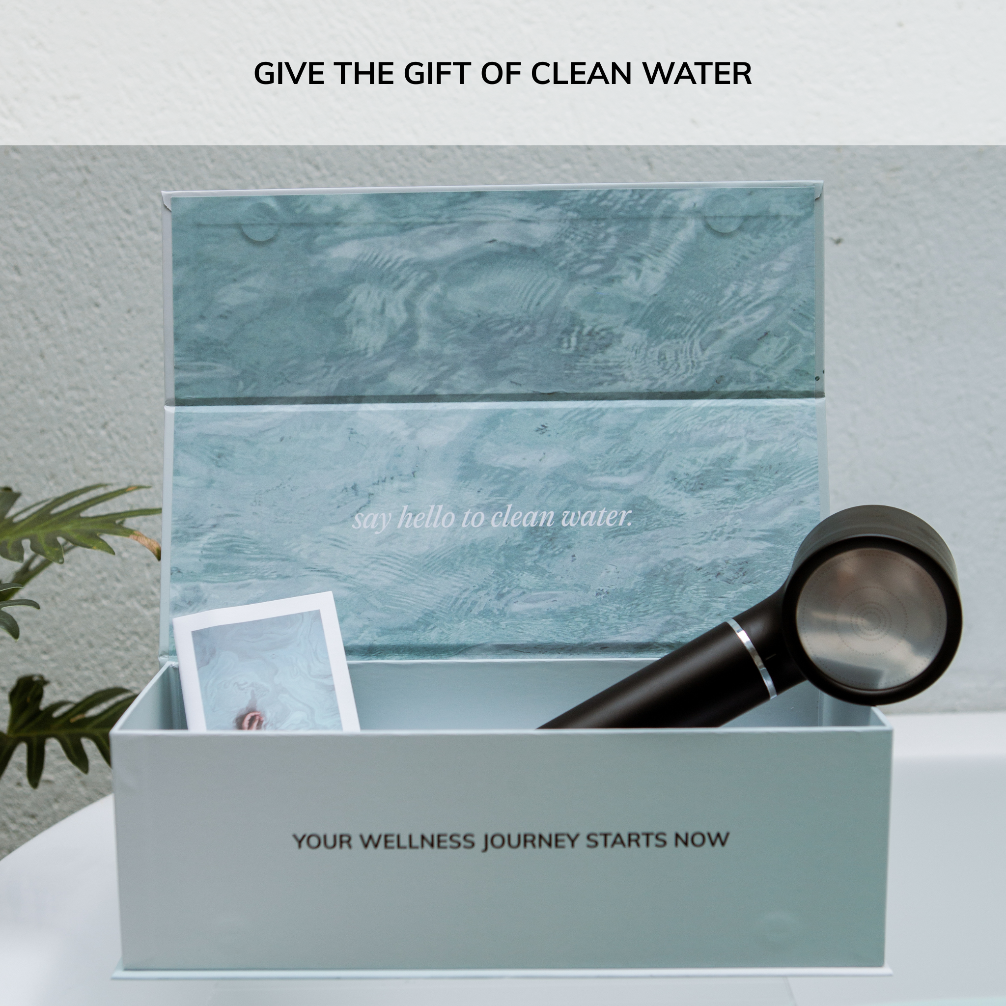 handheld shower head with filter and chloramine water purifier